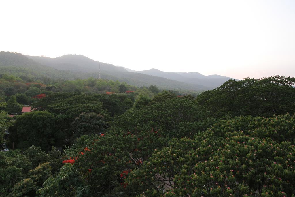 Aster Residence Chiang Mai Rum bild